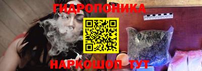шишки Канаш