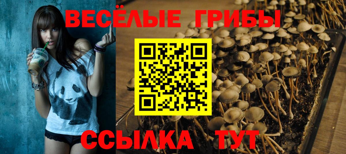 Галлюциногенные грибы Magic Shrooms  Галлюциногенные грибы MAGIC MUSHROOMS  Людиново  Вход с VPN 